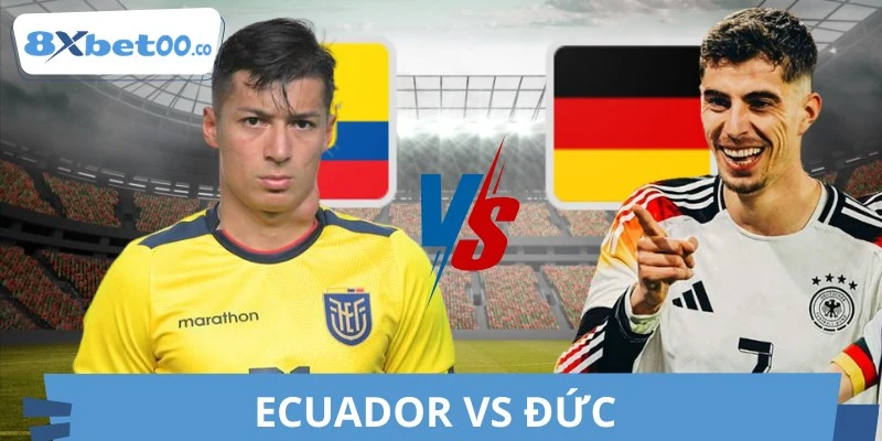 Dự Đoán, Soi Kèo Ecuador Vs Đức World Cup 26/06 Lúc 03:00